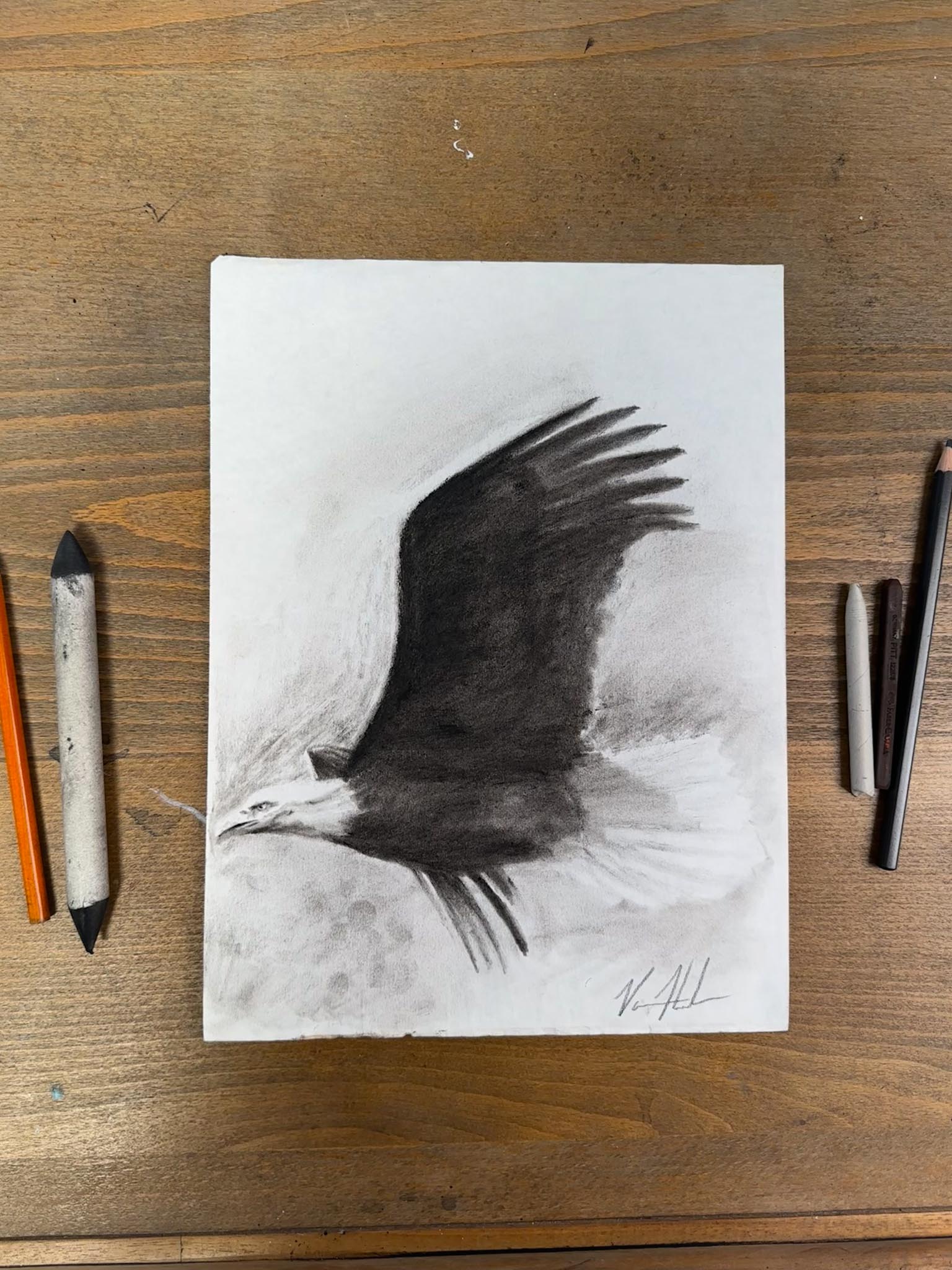 Take to Flight - 9”x12” Original Charcoal Drawing Original Painting Vanessa Horabuena