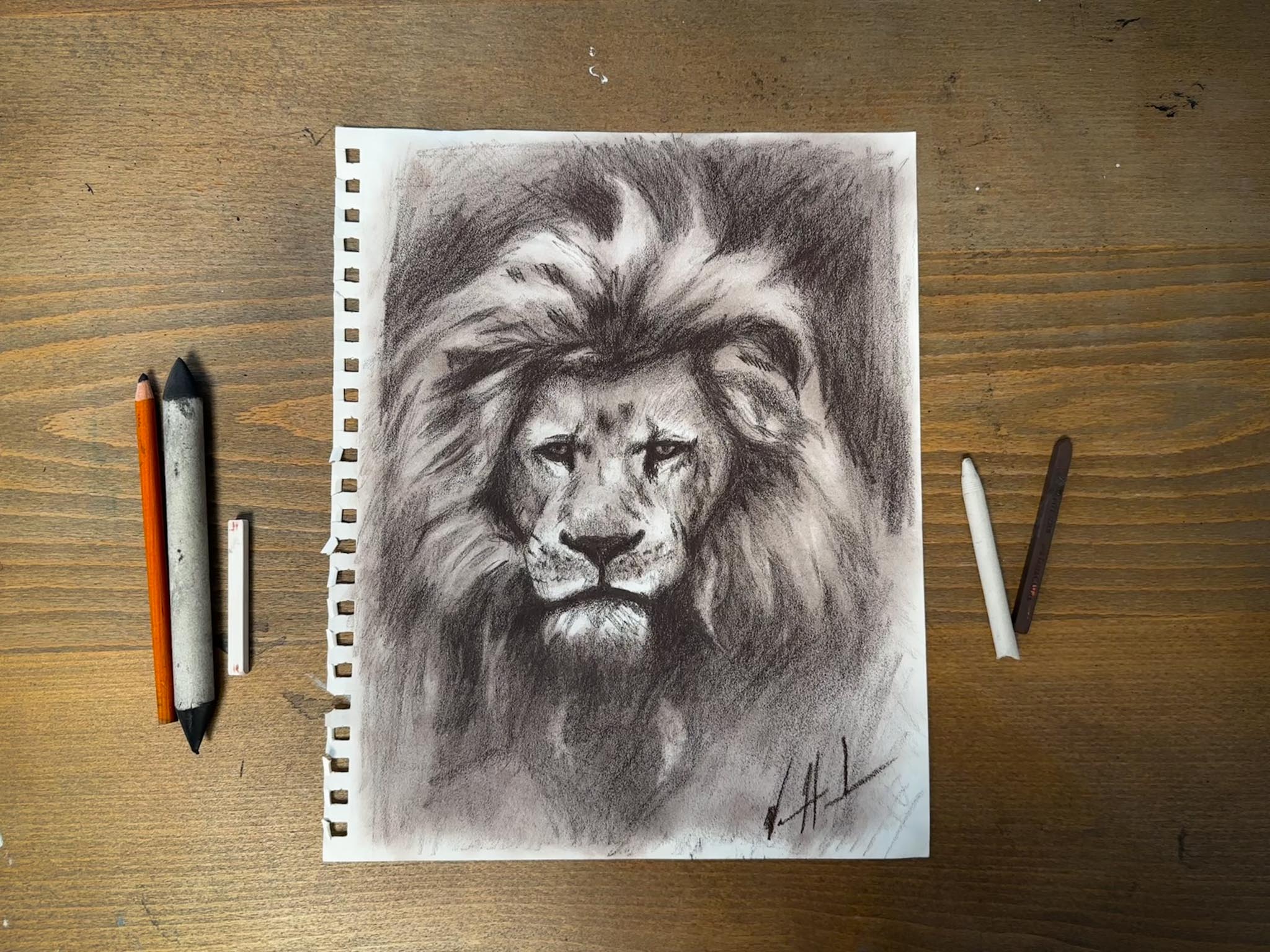 A King’s Reign - Lion Sepia Sketch - 9”x12” Original Conté Crayon Drawing