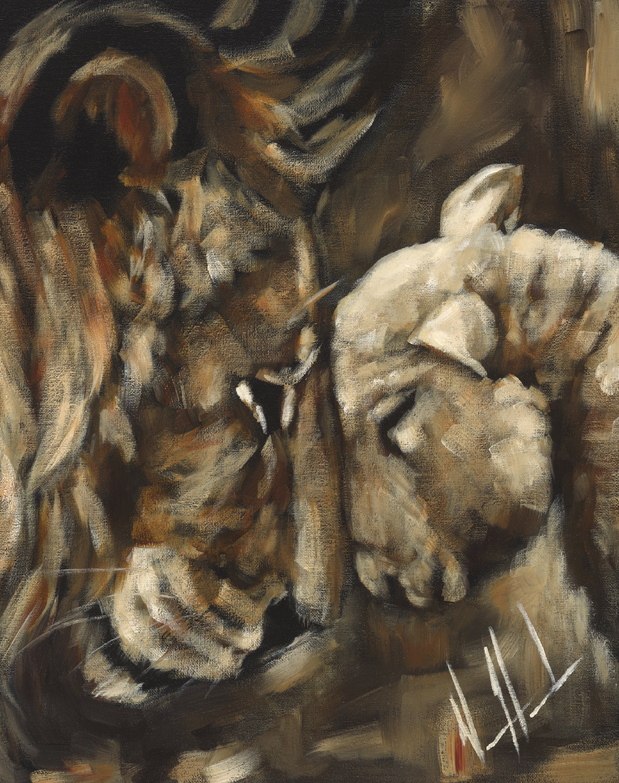 Compassion of a King - Fall Collection (Clearance Print) Vanessa Horabuena