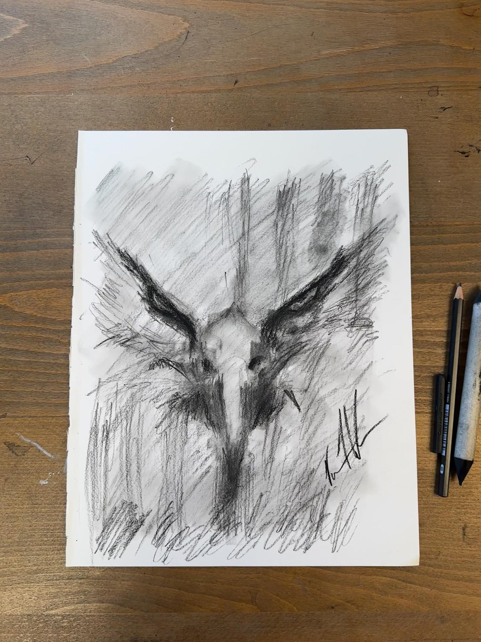 Stripes of Freedom - Practice Sketch - 11”x14” Original Charcoal Drawing