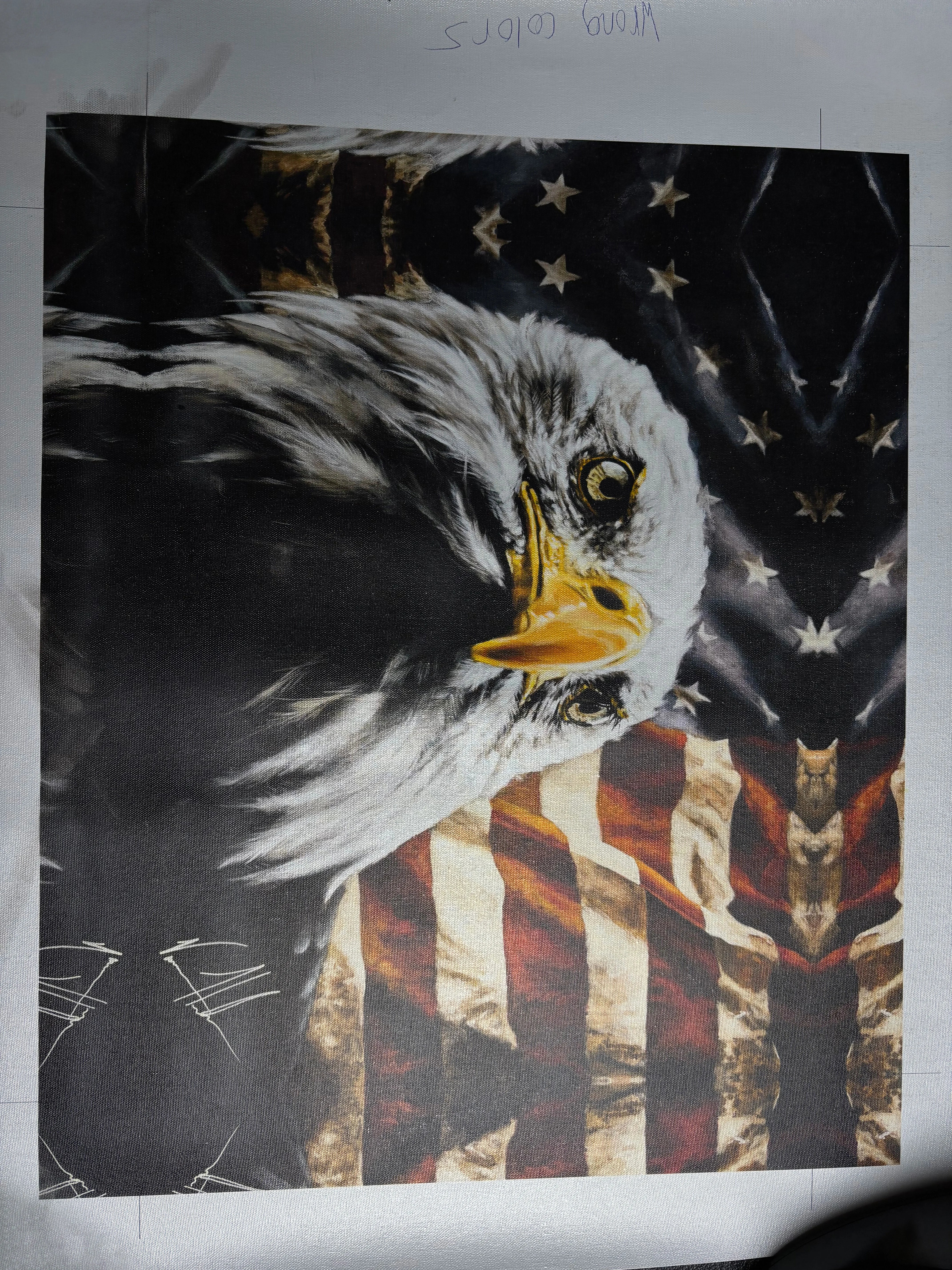 C#6 - The Fight For Freedom - 16"x20" Canvas Print