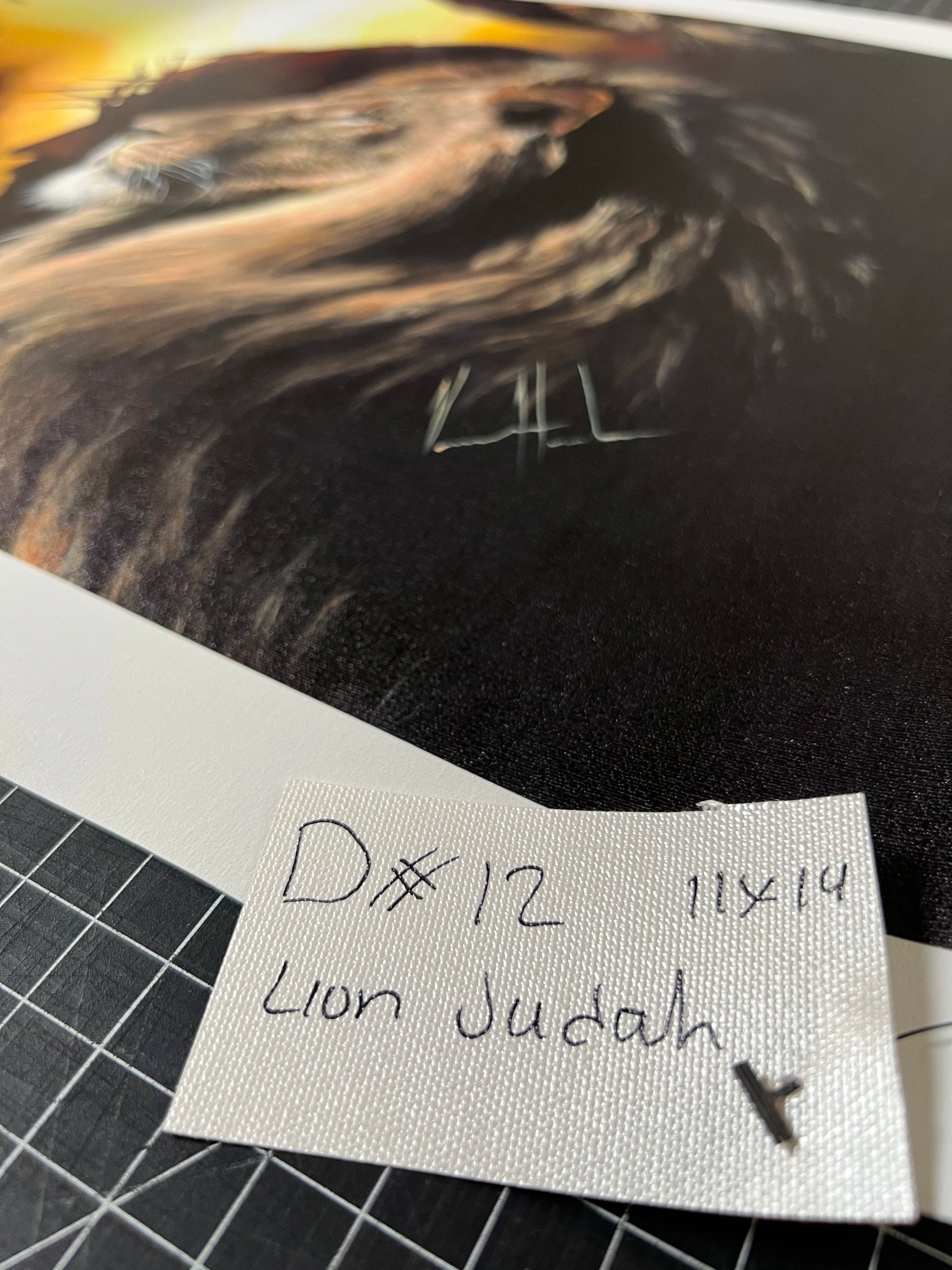 D#. 12 - The Lion of Judah - 11"x14" Canvas Print Vanessa Horabuena