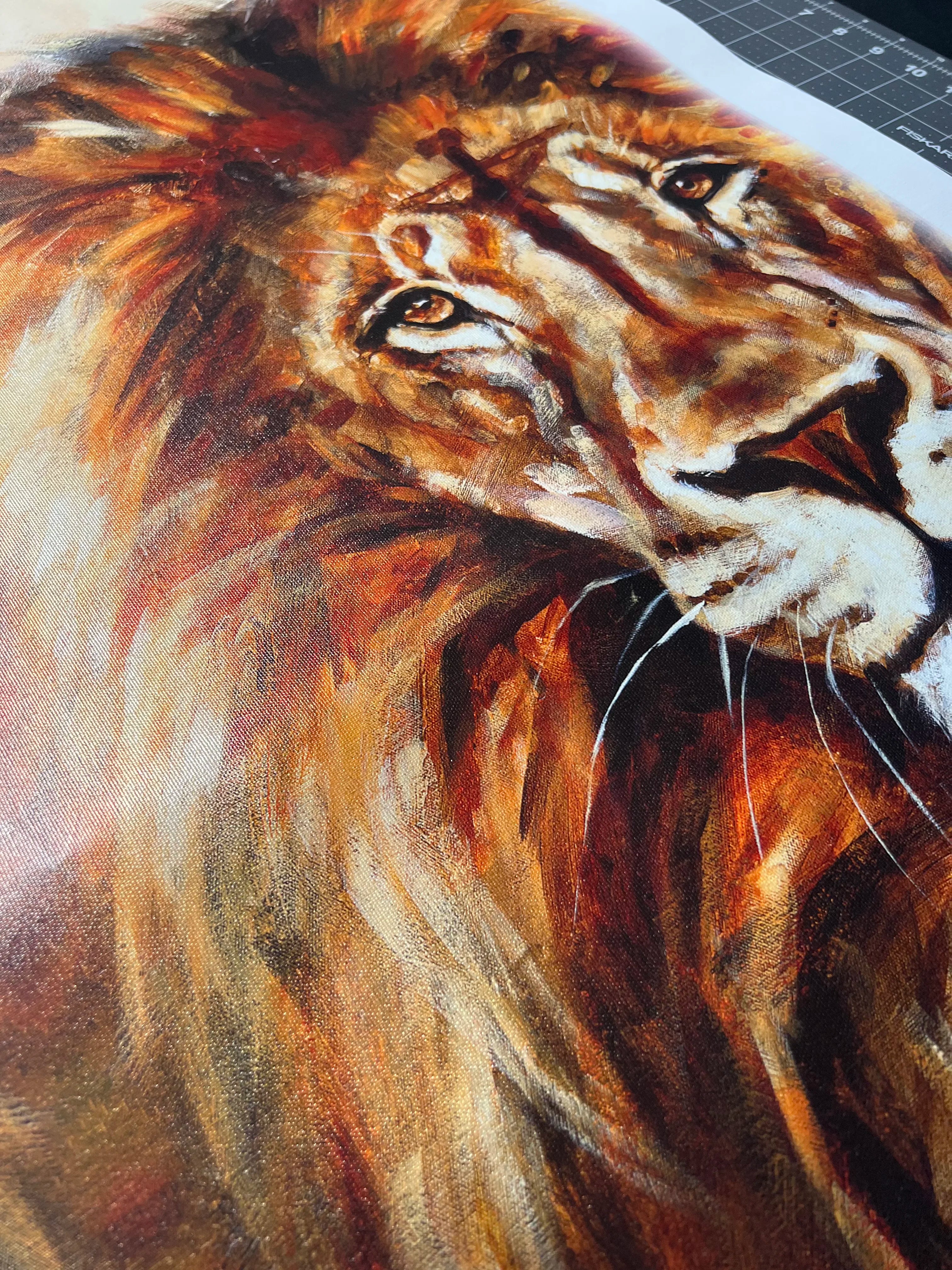 CM# 46 - King of Heaven - Glorious Reign - 24"x30" Canvas Print