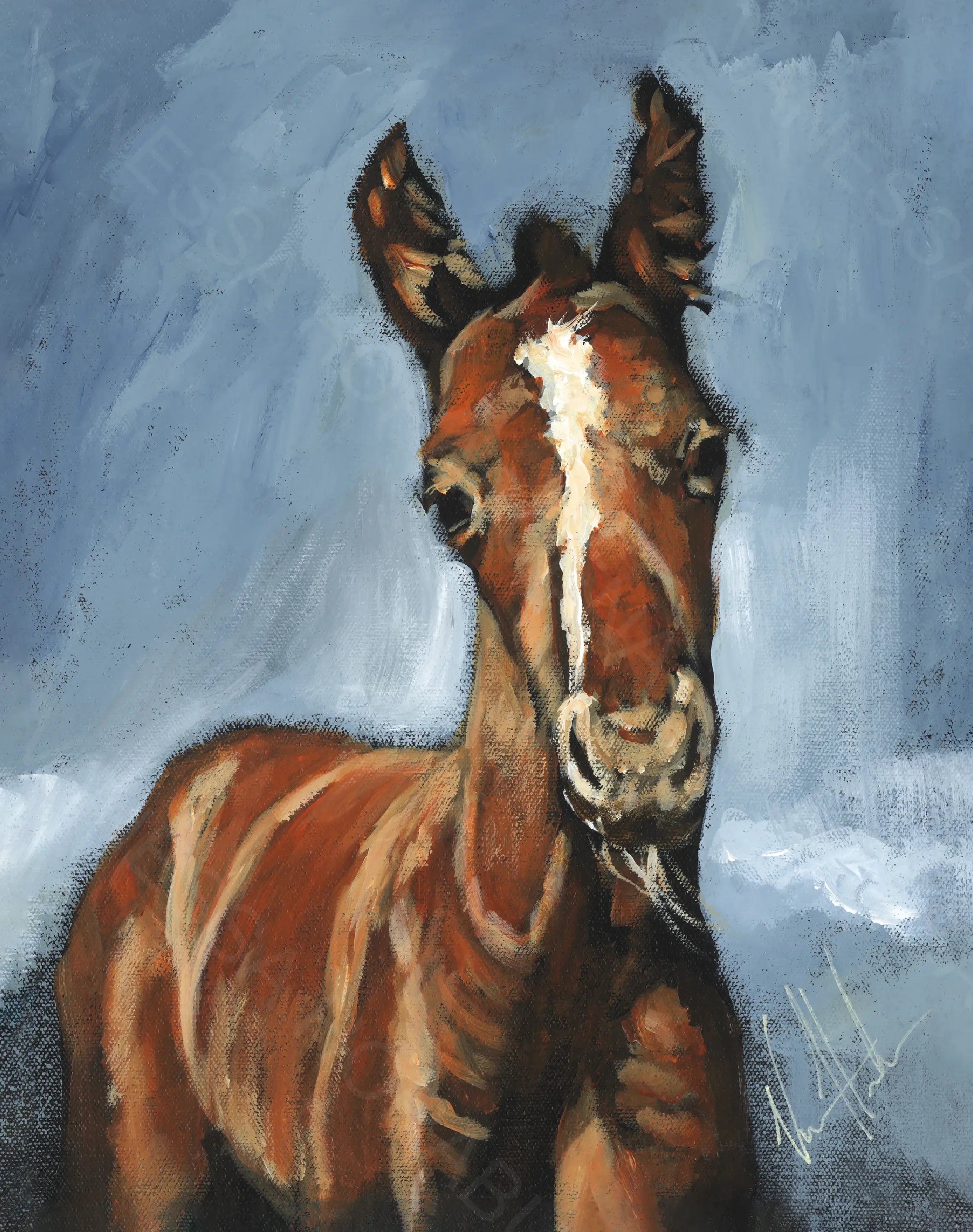 DESIGN DISCONTINUED - Life Through Your Eyes Vanessa Horabuena