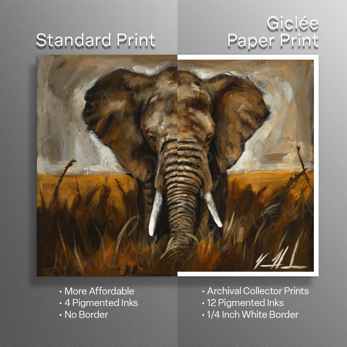 Stand Your Ground Vanessa Horabuena