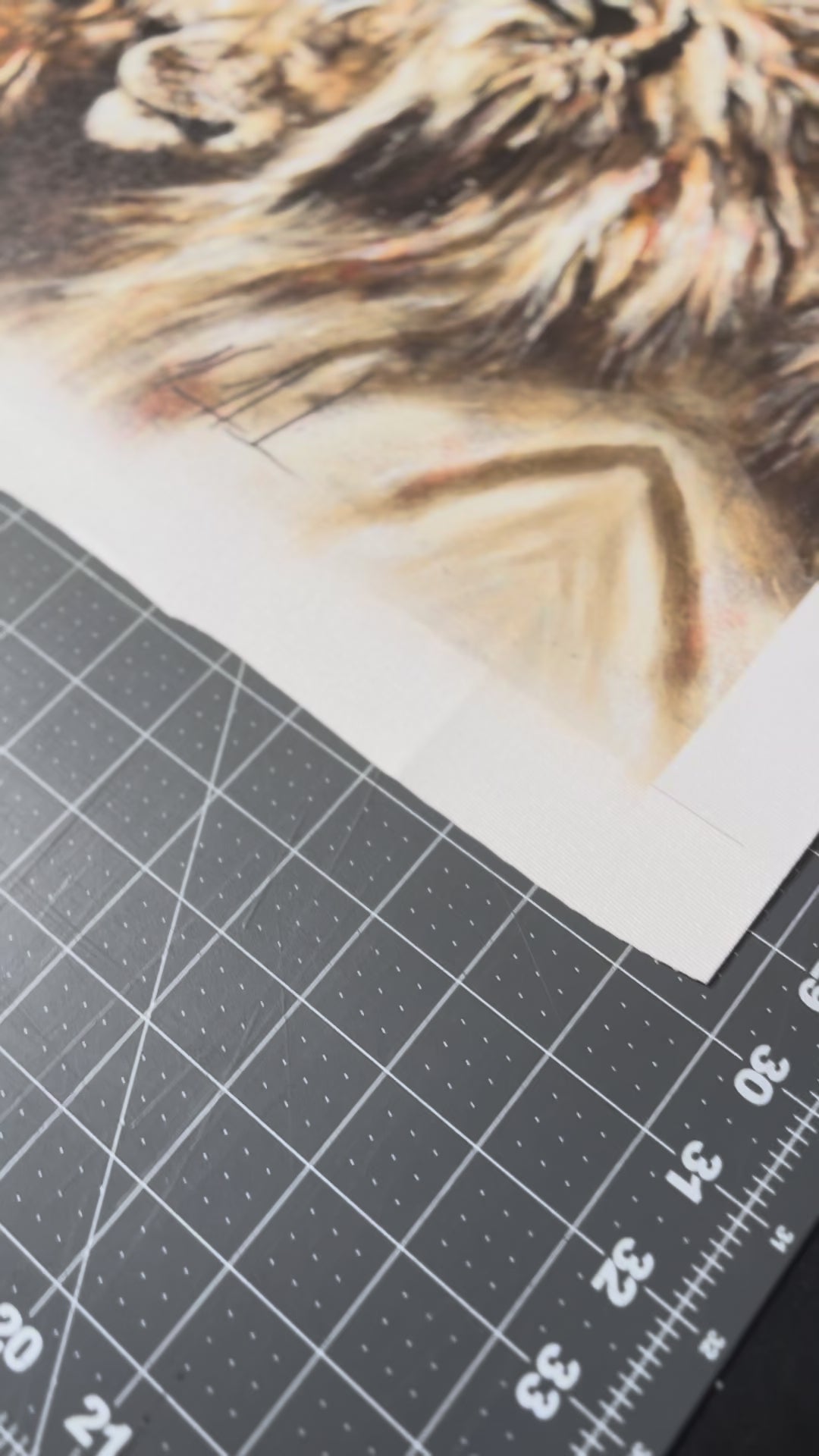 CM# 53 - Heaven's Grace - 11"x14" Canvas Print Vanessa Horabuena