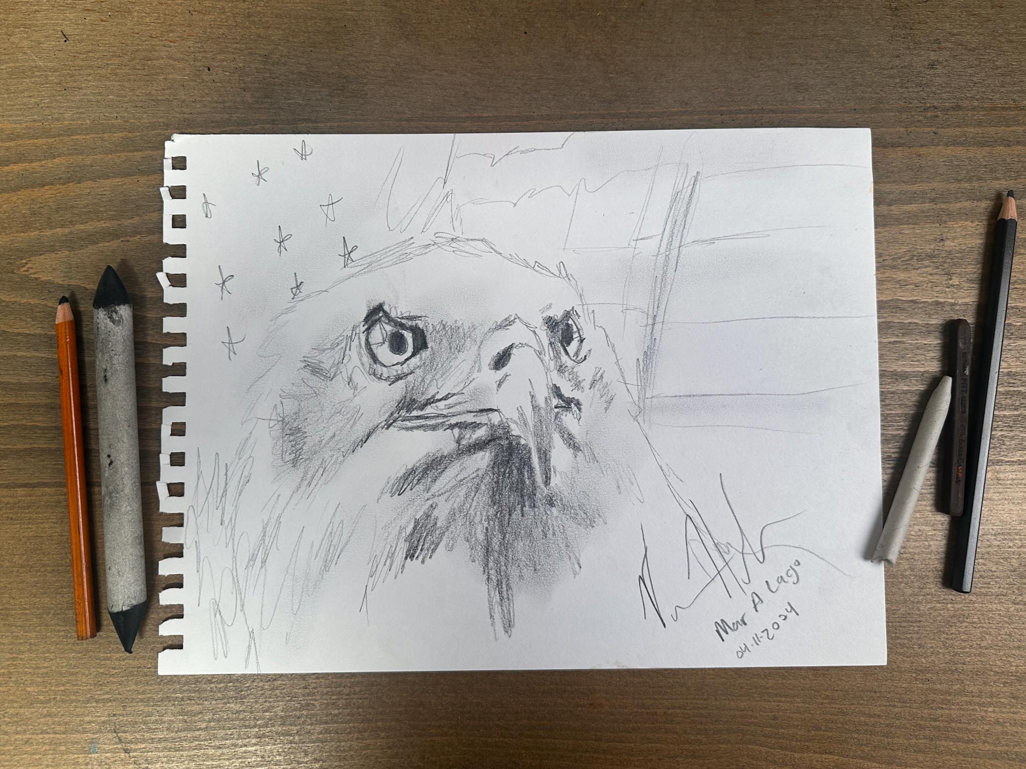 Fight for Freedom - 9”x12” Original Graphite Drawing m