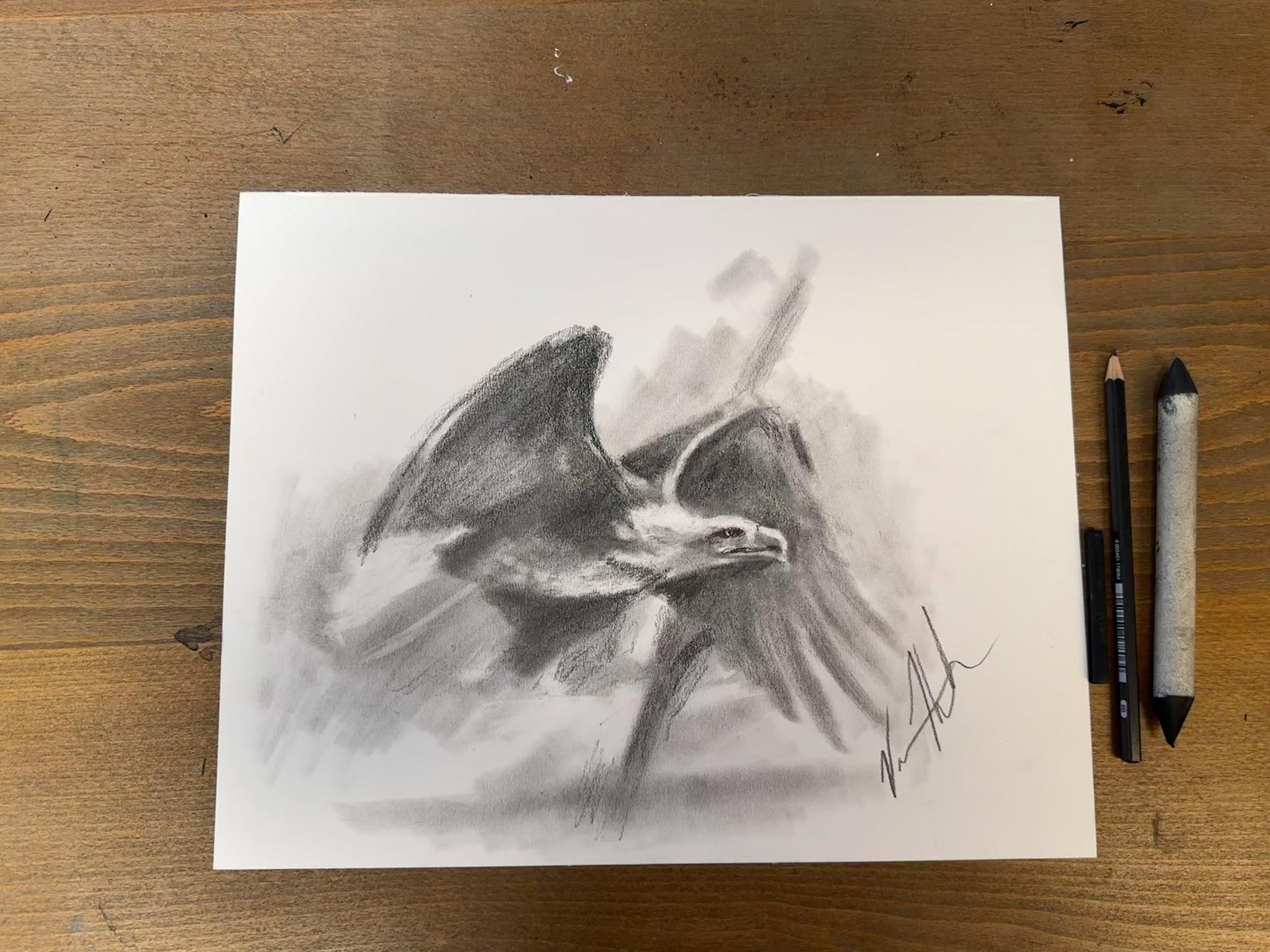 Wings of Freedom - 11”x14” Original Graphite & Charcoal Drawing