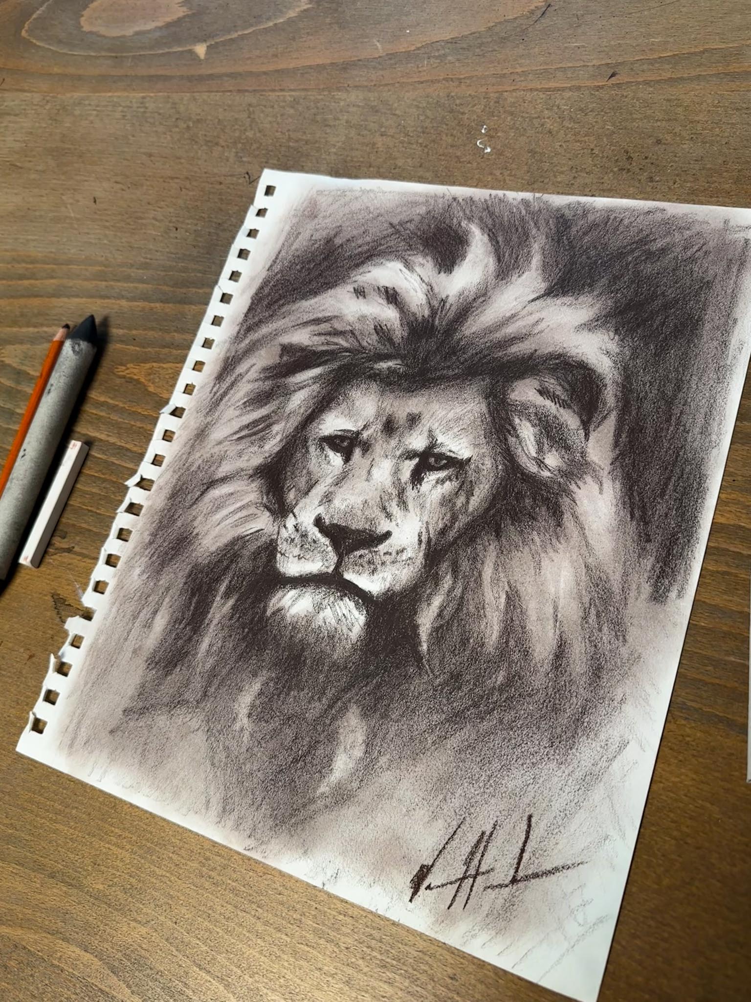 A King’s Reign - Lion Sepia Sketch - 9”x12” Original Conté Crayon Drawing