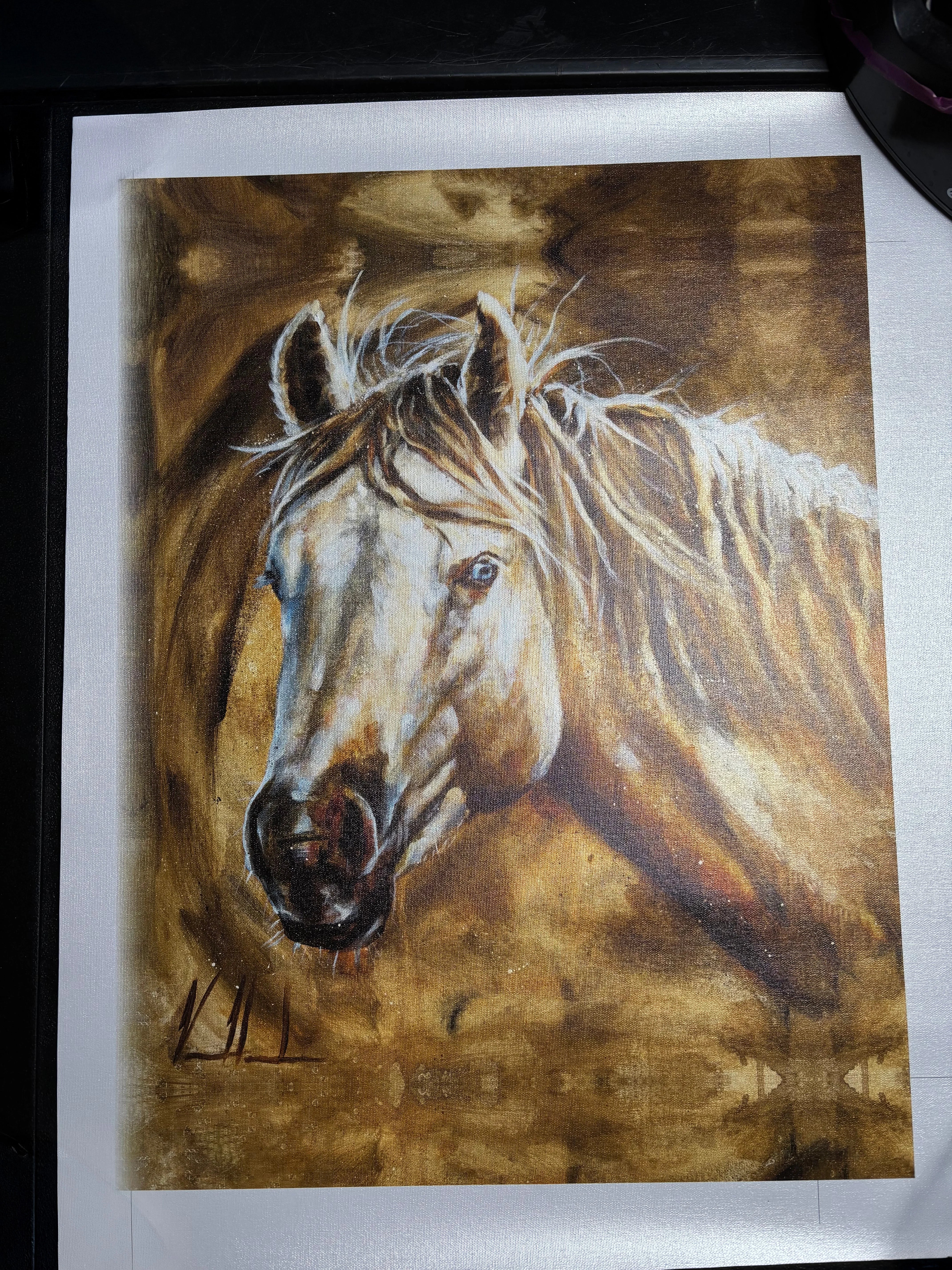 C#10 - A Pure Heart - 16"x20" Canvas Print