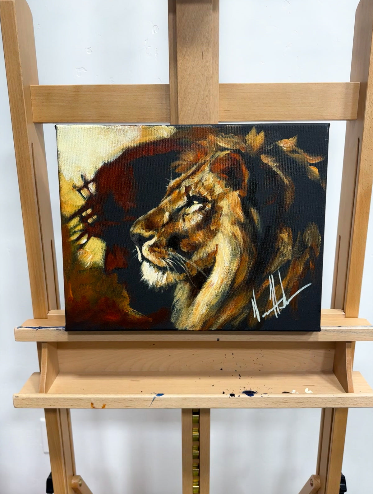 The Lion of Judah - 11”x14” Original Acrylic Painting