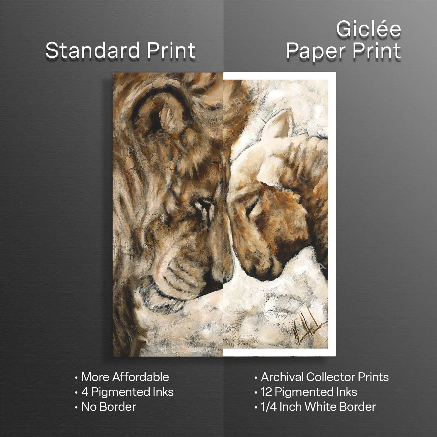 Compassion of a King (White) Lion Art Print Vanessa Horabuena