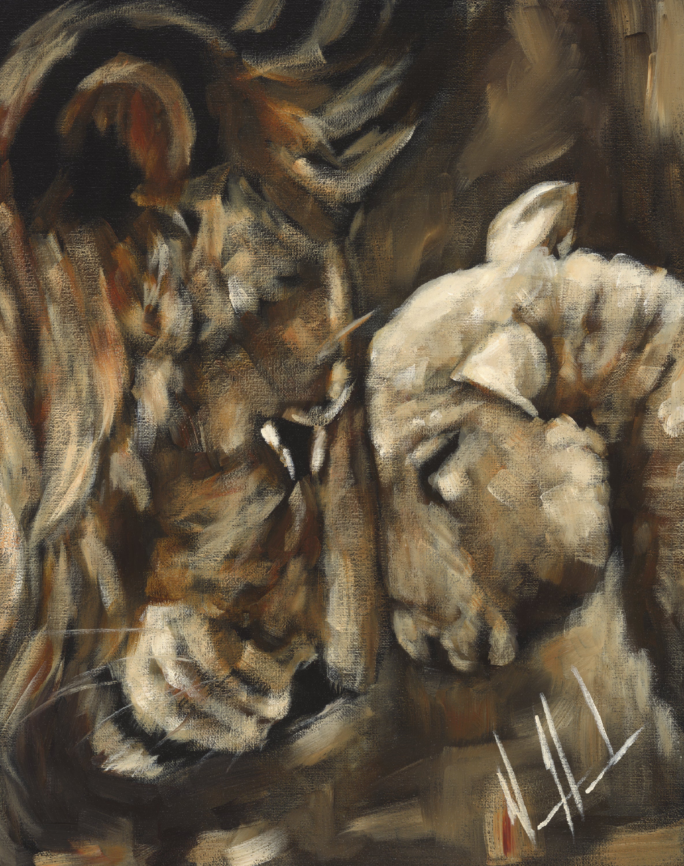 DESIGN DISCONTINUED - Compassion of a King (Fall Collection) Vanessa Horabuena