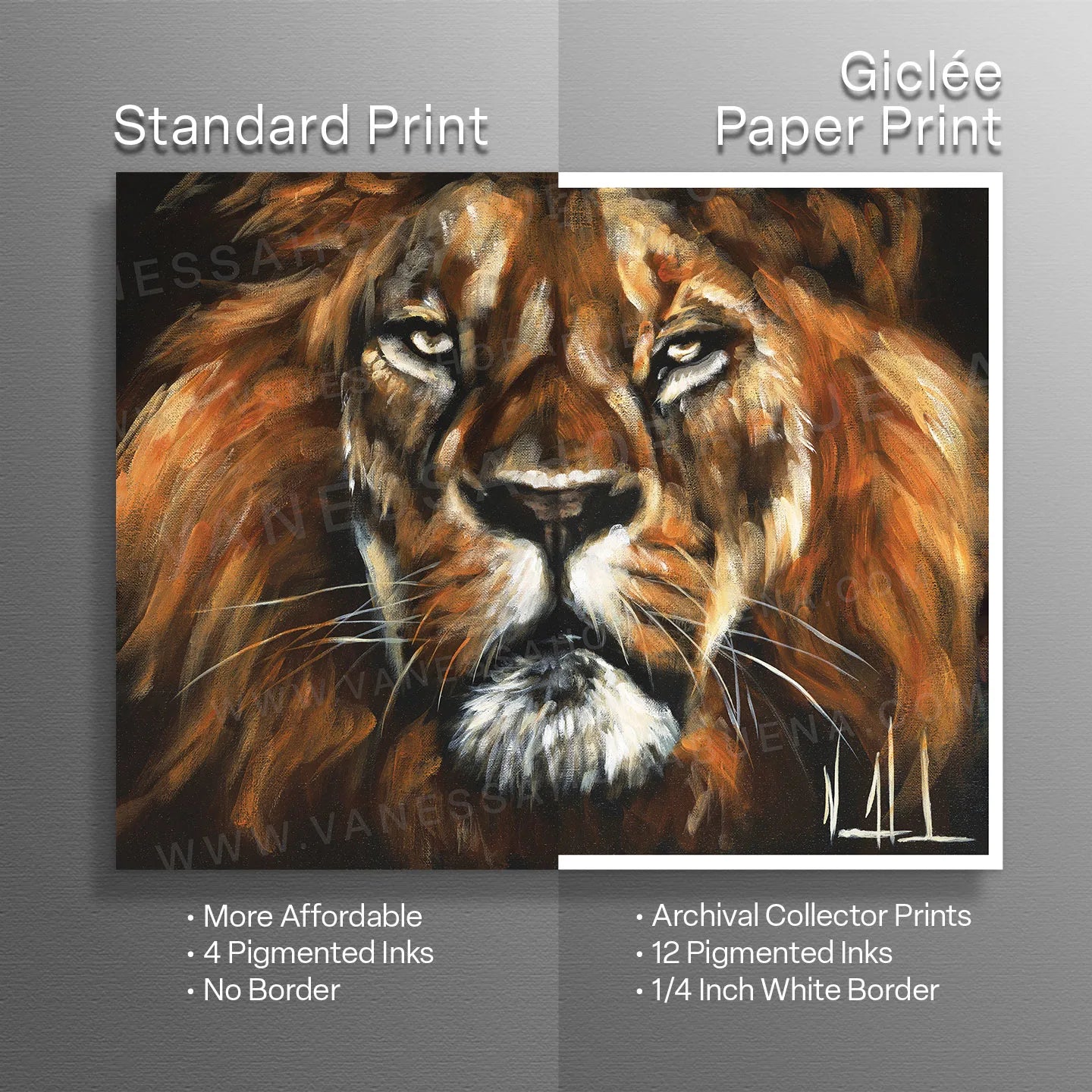 Defender Lion Art Print Vanessa Horabuena