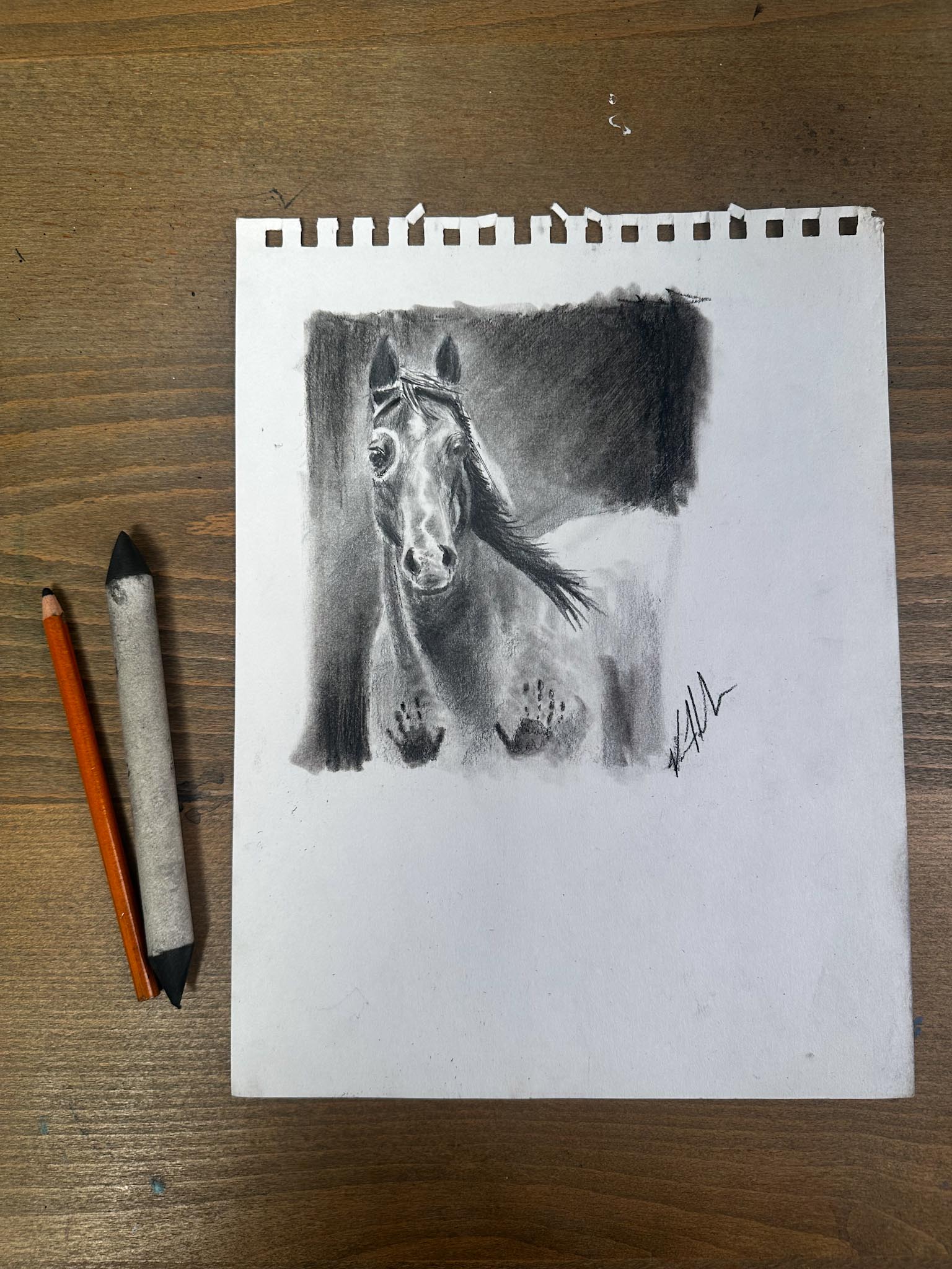 Heart & Soul - 9”x12” Original Graphite & Charcoal Drawing