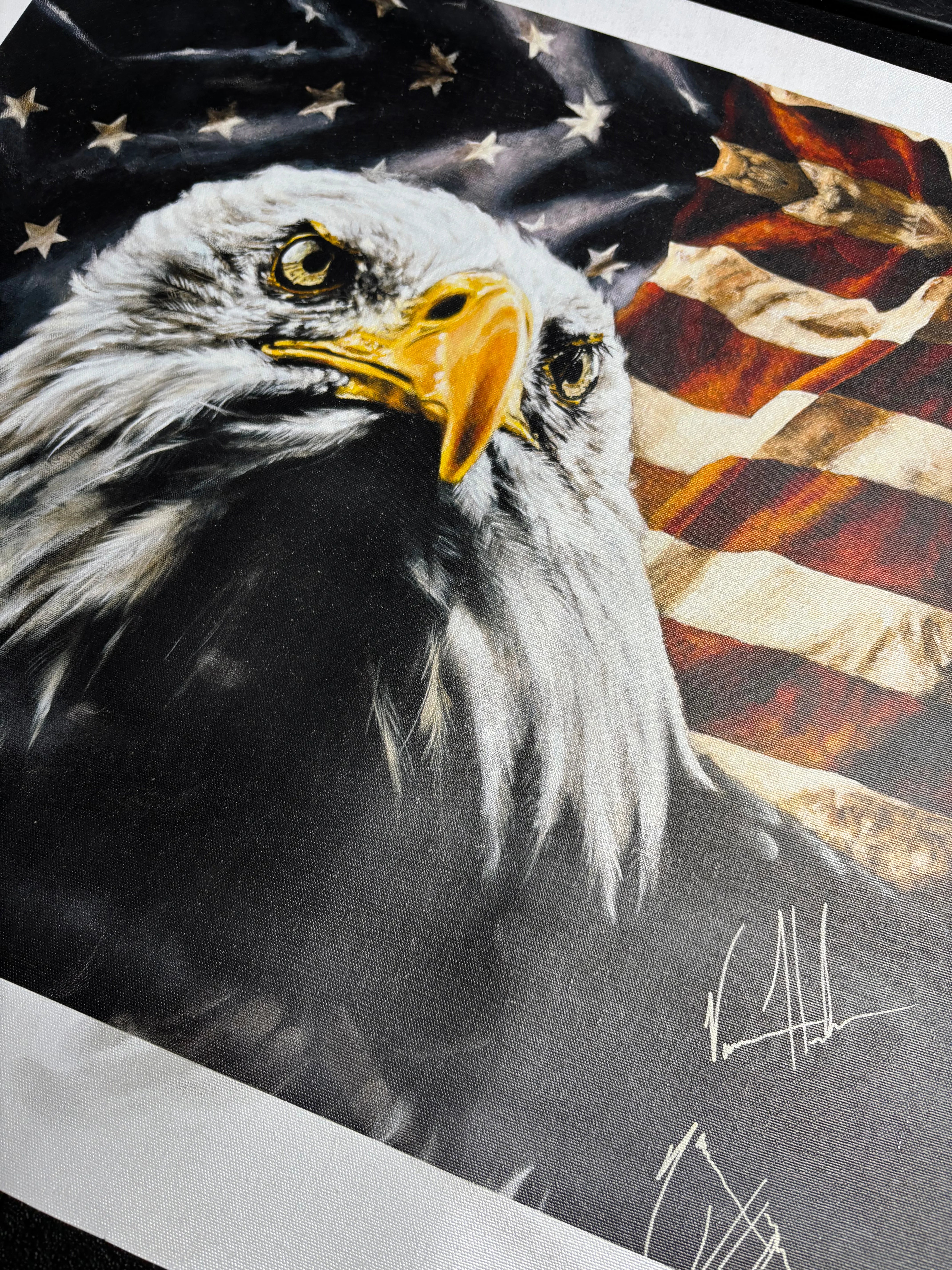 C#6 - The Fight For Freedom - 16"x20" Canvas Print