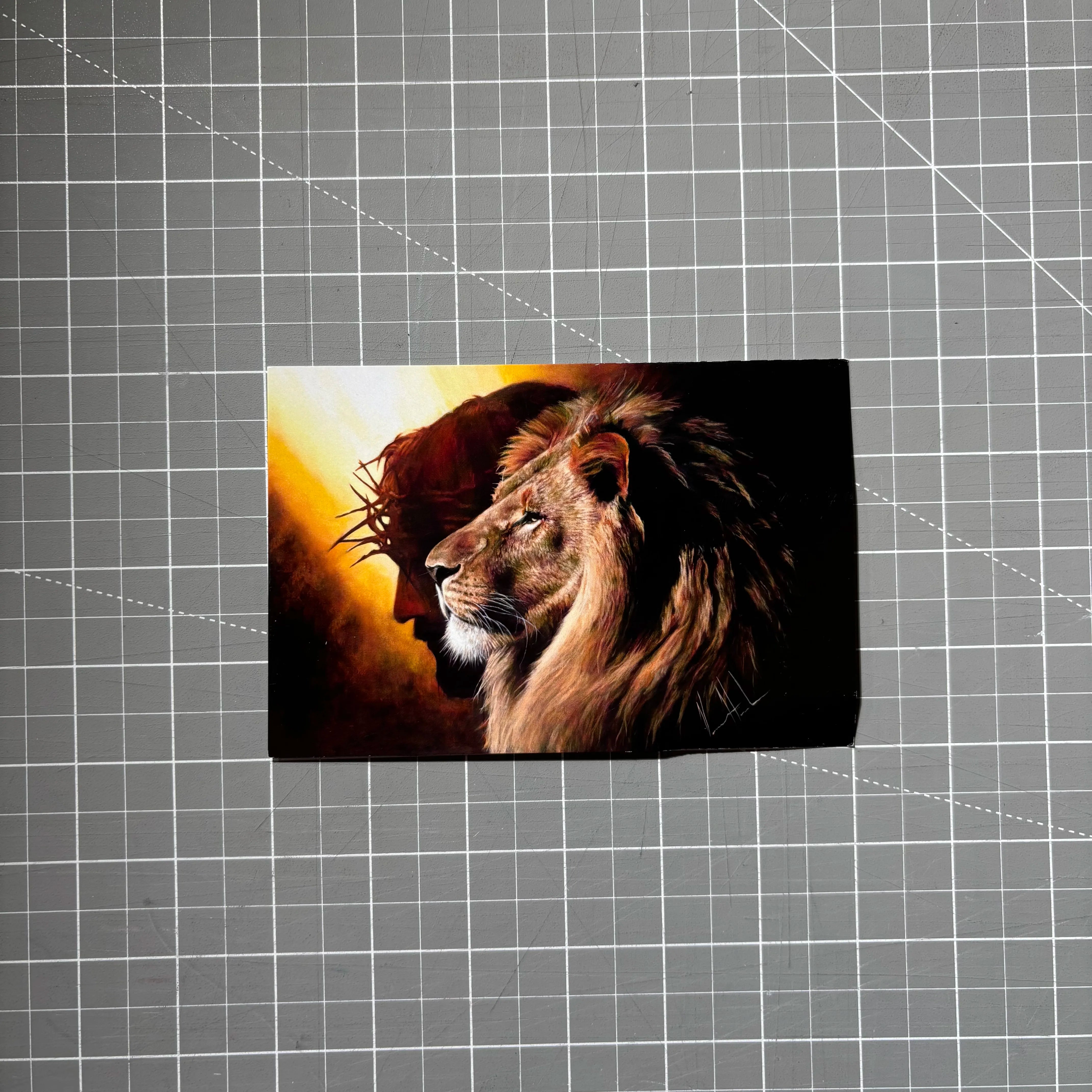 The Lion of Judah (Clearance Print) Vanessa Horabuena