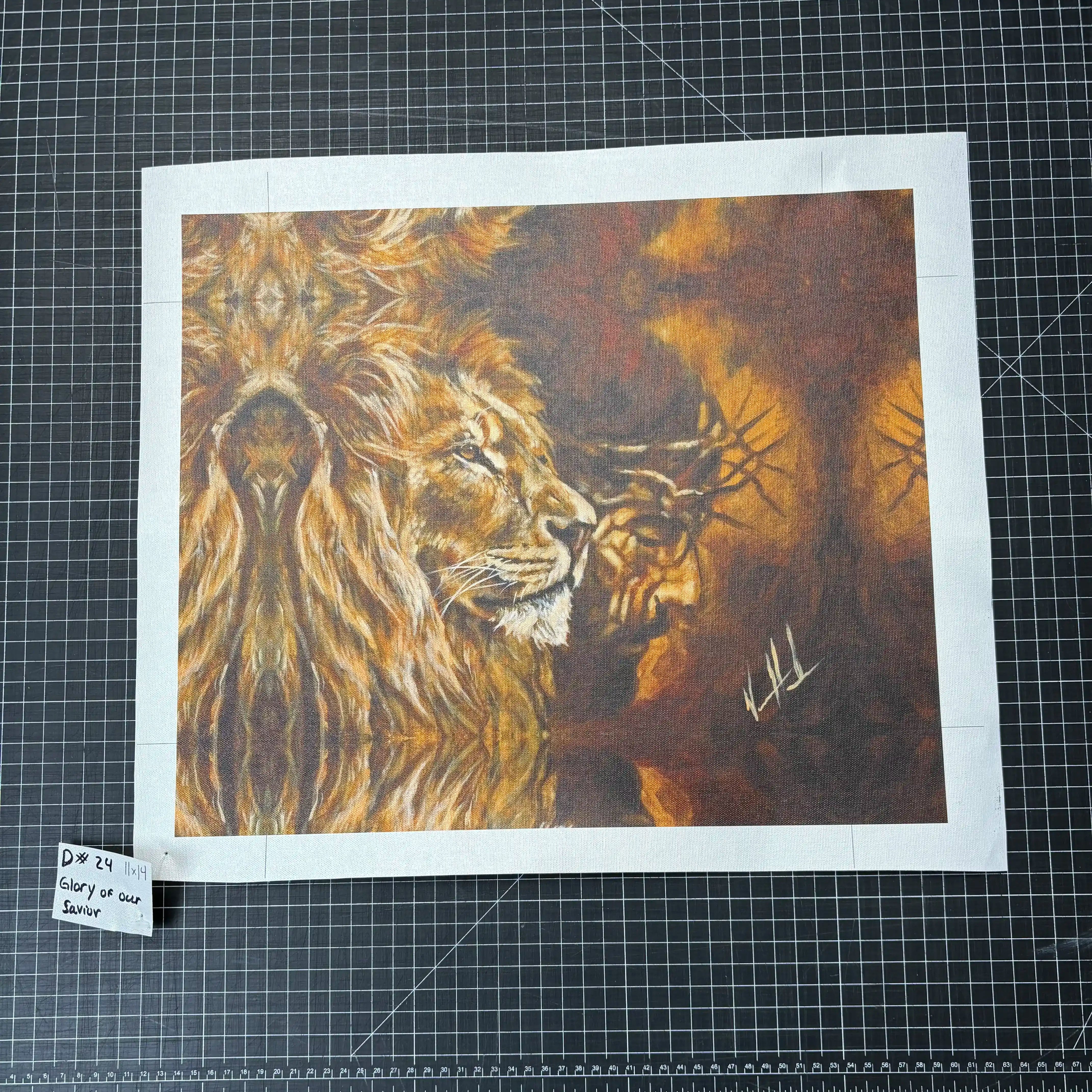 D#. 24 - Glory of Our Savior - 11"x14" Canvas Print Vanessa Horabuena