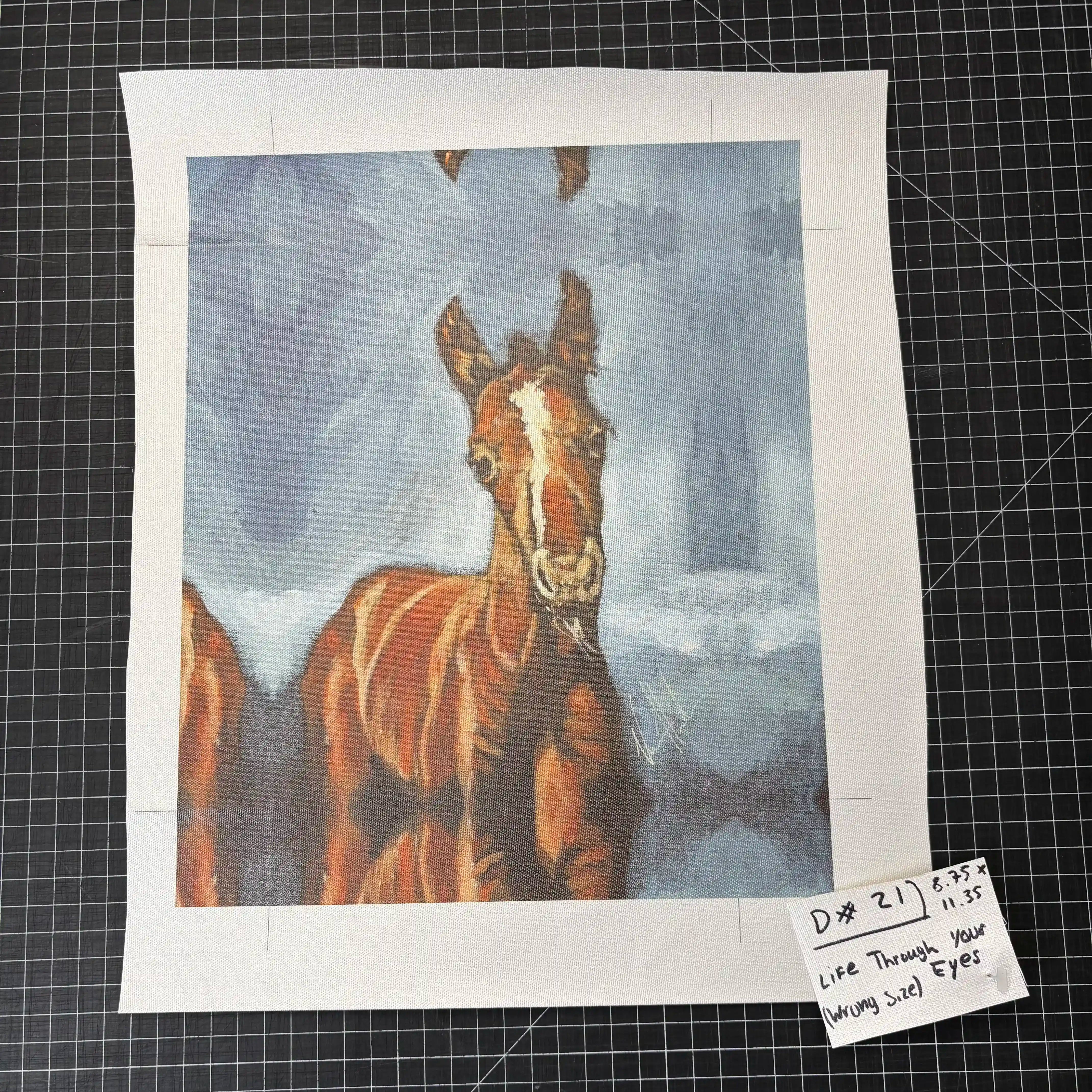 D#. 21 - Life Through Your Eyes - 8.75"x11.35" Canvas Print Vanessa Horabuena