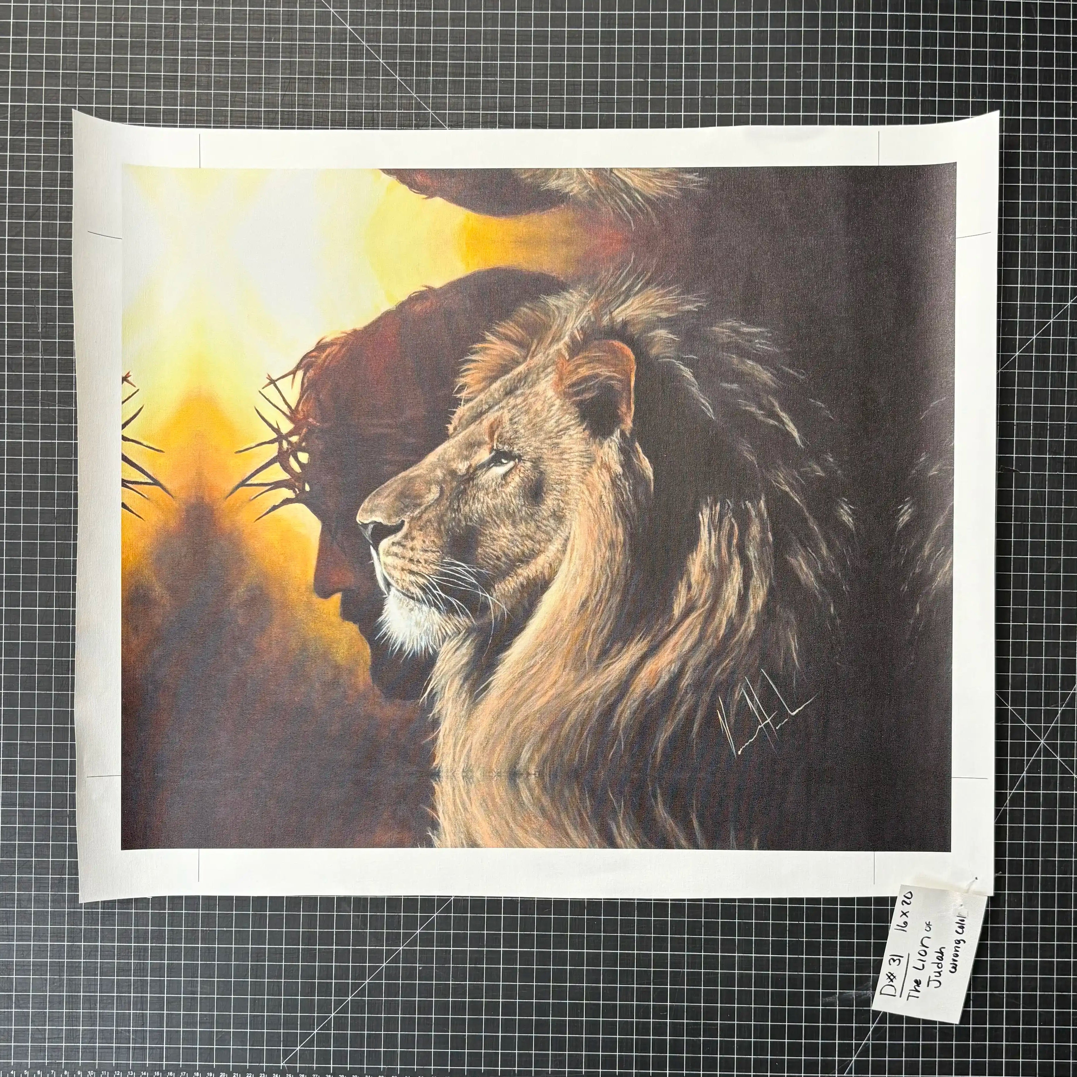 D#. 31 - The Lion of Judah - 16"x20" Canvas Print Vanessa Horabuena