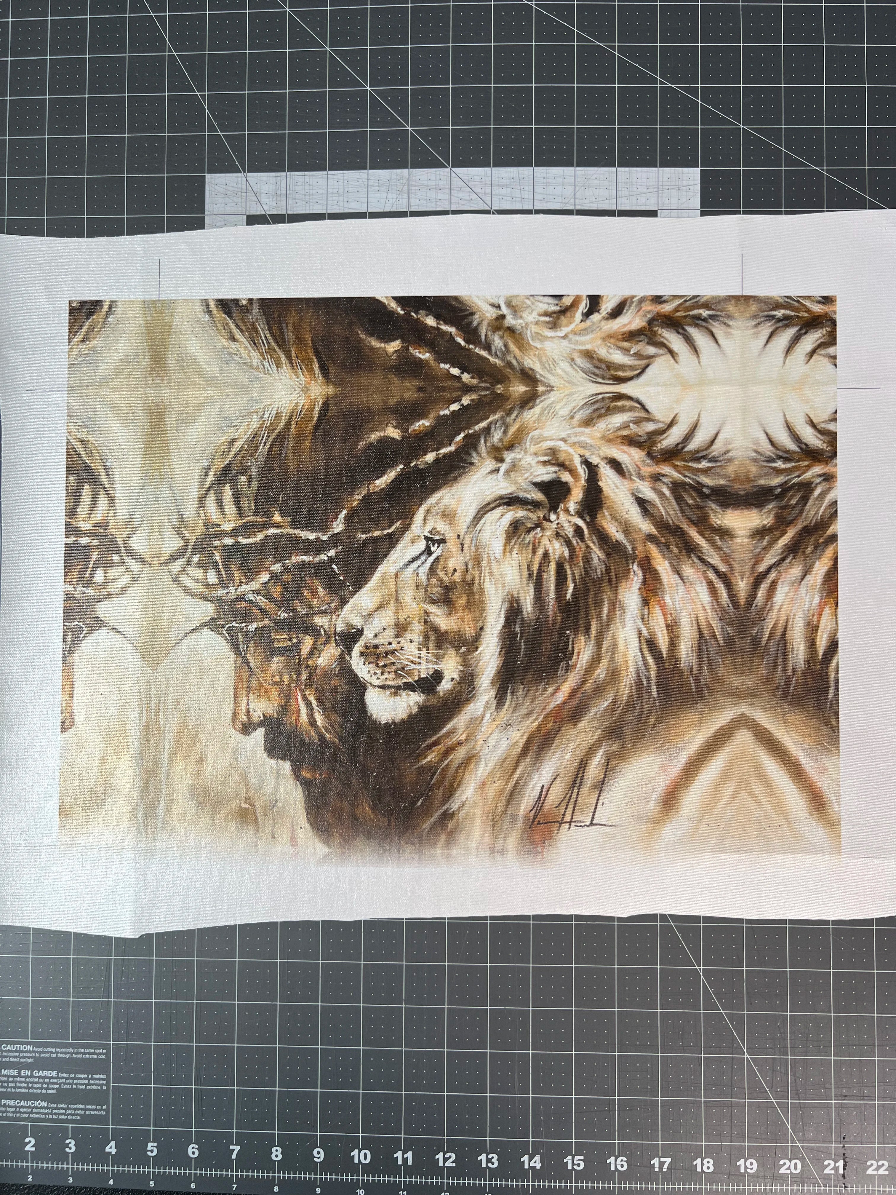 CM# 53 - Heaven's Grace - 11"x14" Canvas Print