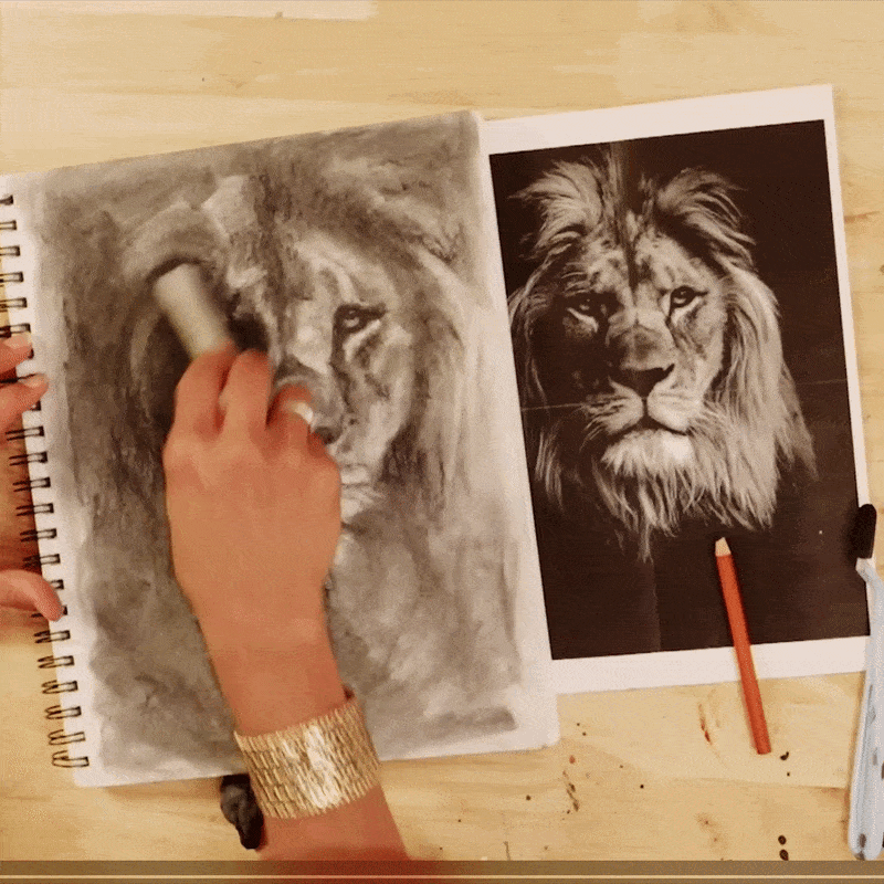 Sketch Class (Lion) Vanessa Horabuena