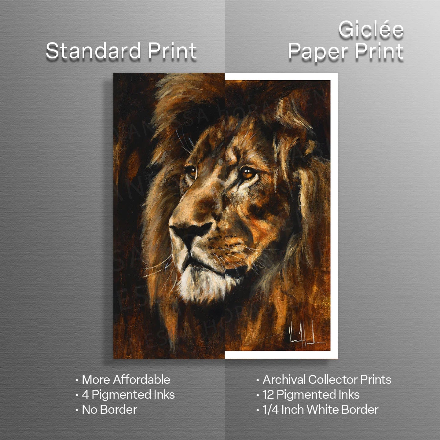 Majestic Lion Lion Art Print Vanessa Horabuena