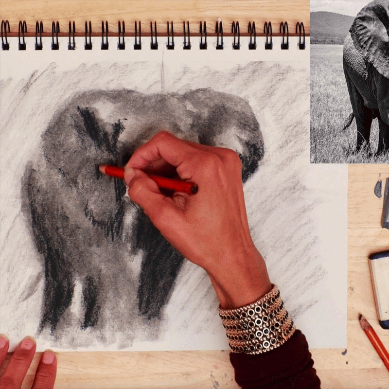Sketch Class (Elephant)