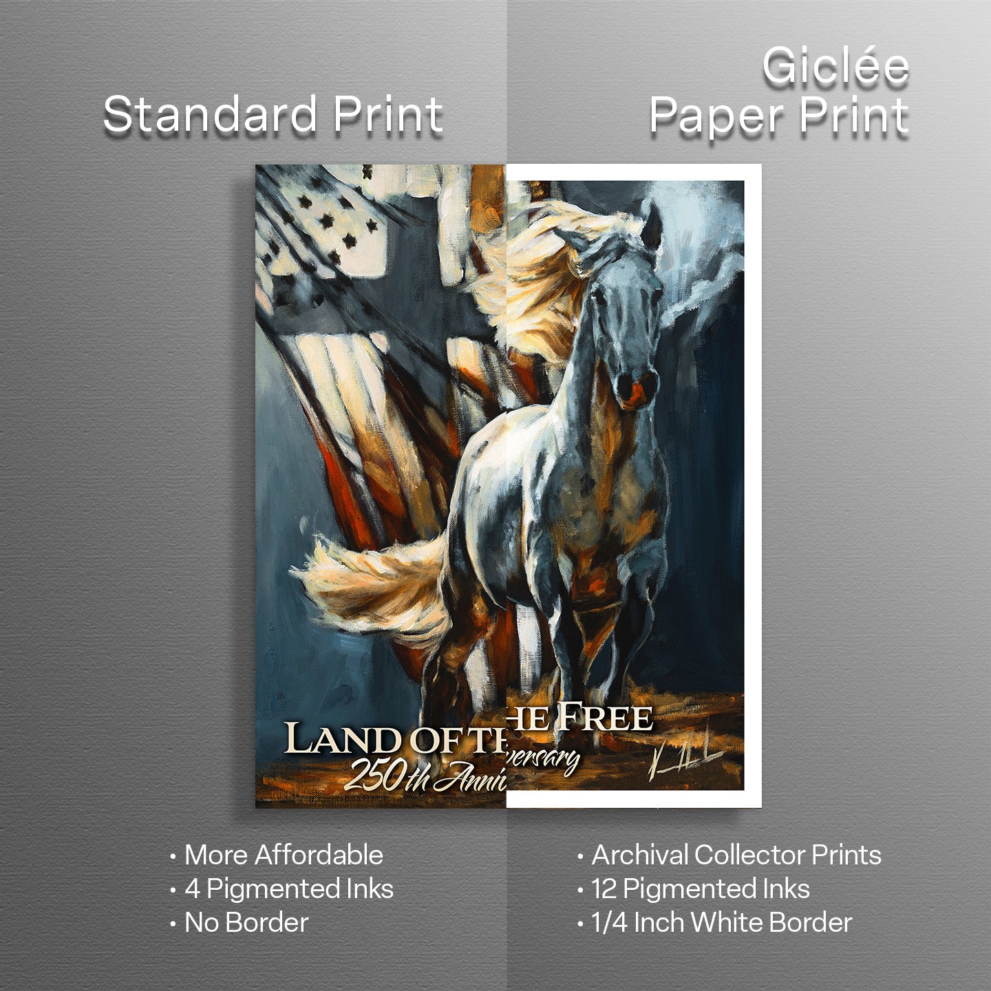 America's 250th Anniversary - Land of The Free