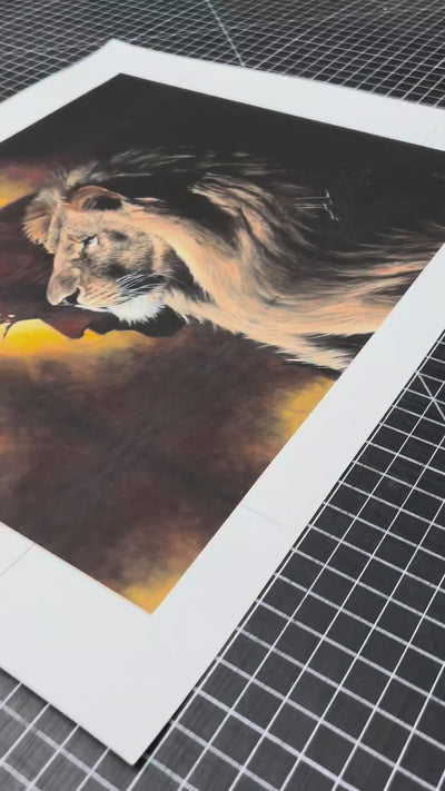 D#. 20 - The Lion of Judah - 8"x10" Canvas Print Vanessa Horabuena